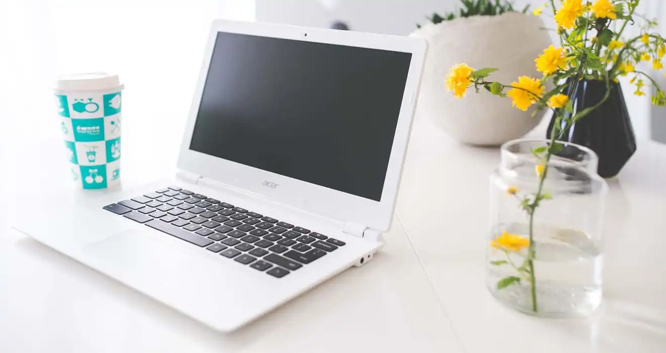 Ремонт ноутбуков Acer в Батайске